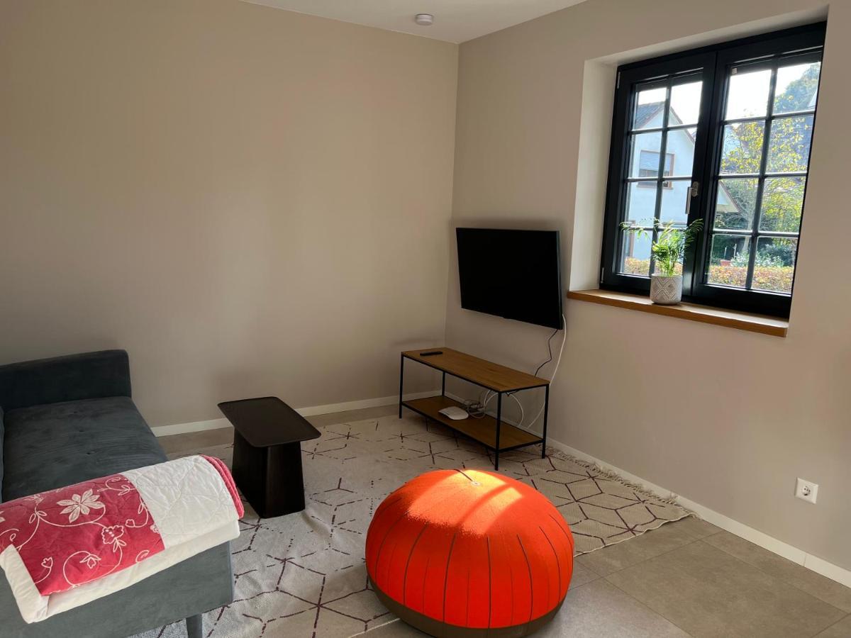 Neubau Im Loft-Stil Mit Grosser Terrasse Лёррах Экстерьер фото